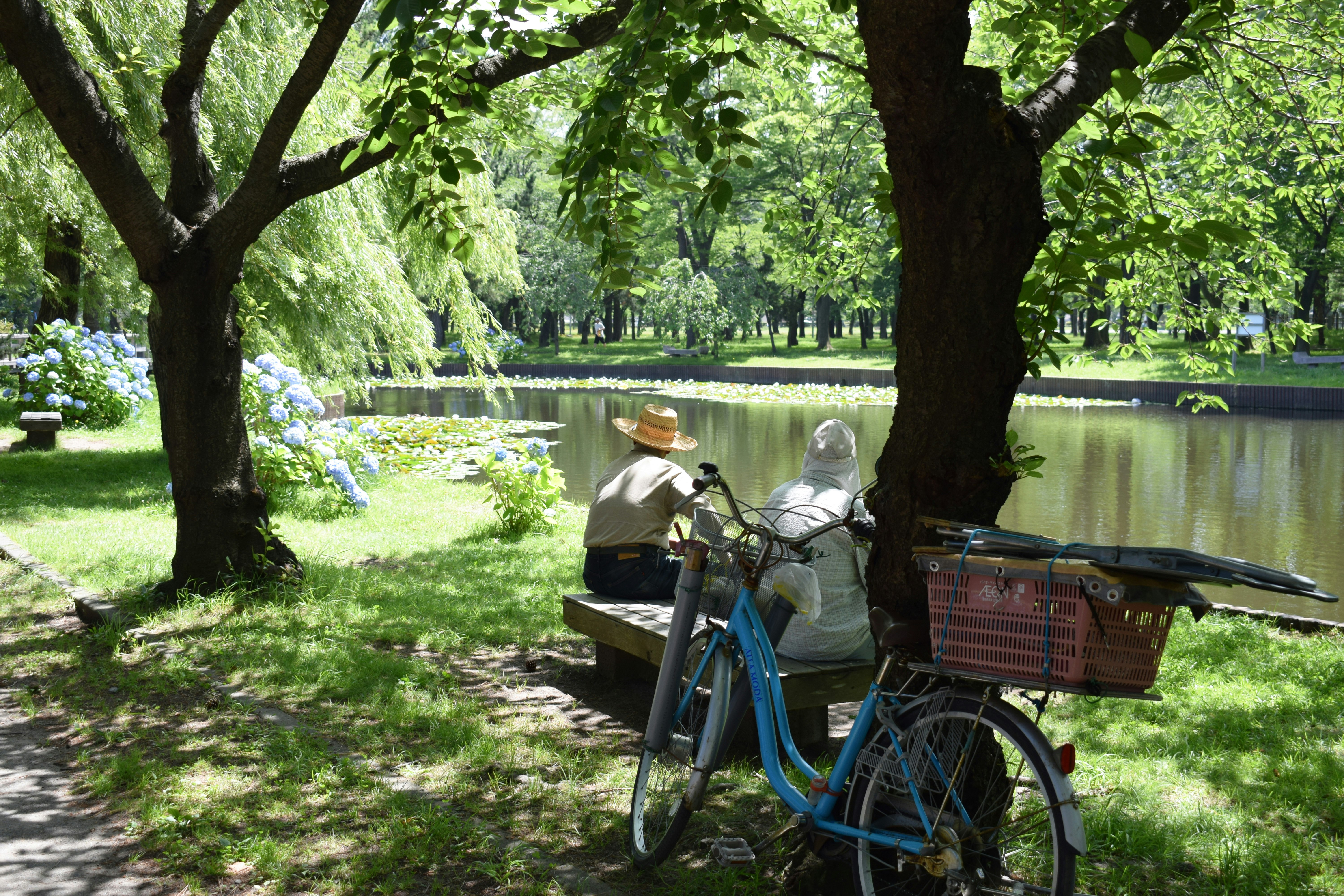 woman in white long sleeve shirt sitting on blue bicycle near green tree during daytime